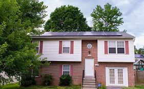 Gorgeous & Elegant 3Bedrooms 2Full-Bath Upper Level Of A Single Home